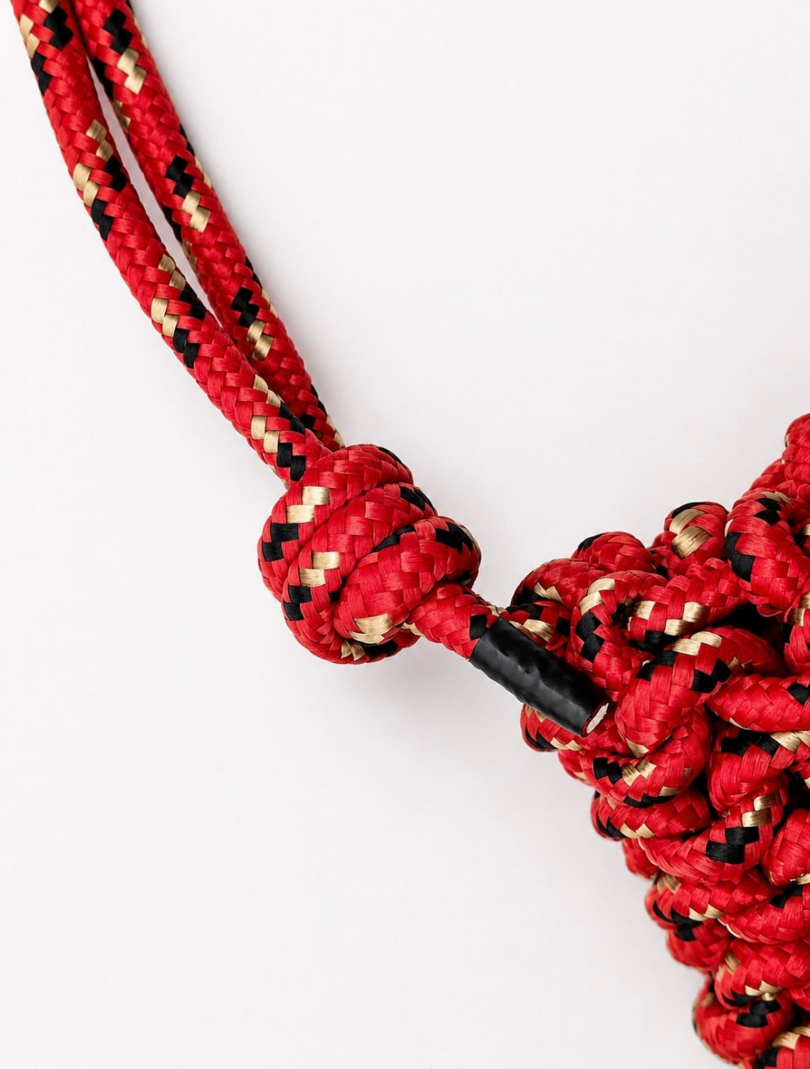 Nudos Daily- Flamboyan